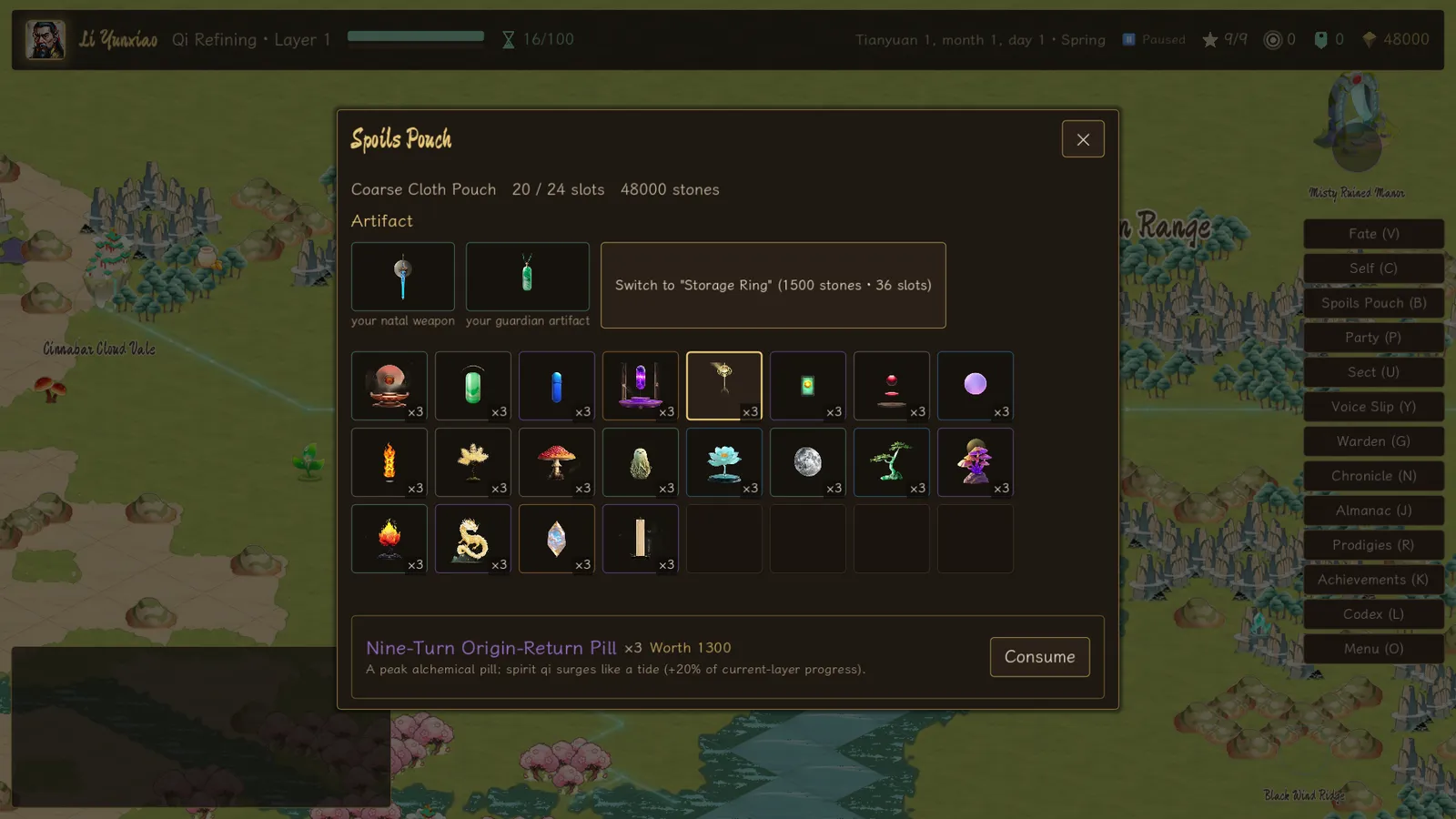 The spoils pouch: a grid of pills, spirit herbs, talismans and artifacts, with the natal weapon and guardian artifact equipped